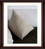 Coussin lin